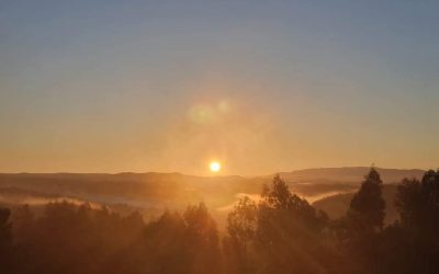 November light