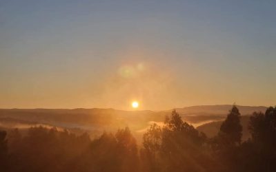 Weekly and December Reflection